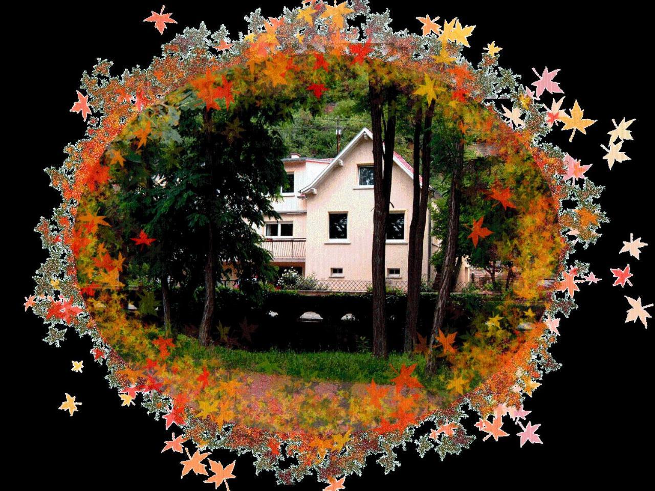 Le Croissant De Lune Ingersheim Exterior photo